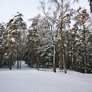 Ogres "Zilie kalni" Ogres "Zilie kalni"