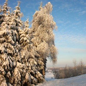 Gaiziņkalna ziemas ainava Gaiziņkalna ziemas ainava