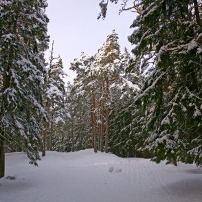 Ogres "Zilie kalni" Ogres "Zilie kalni"