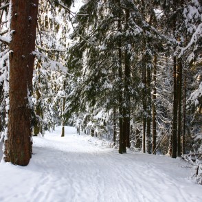 Ogres "Zilie kalni" Ogres "Zilie kalni"