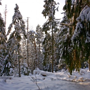 Ogres "Zilie kalni" Ogres "Zilie kalni"