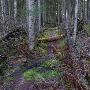 Virsaišu ūdenskrituma dabas taka Virsaišu ūdenskrituma dabas taka
