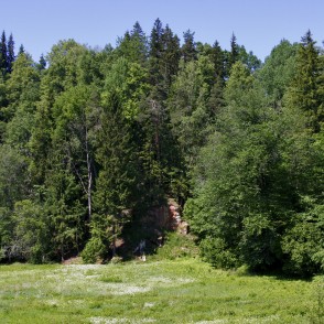 Bizenes iezis Bizenes iezis