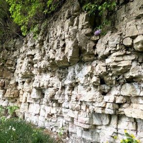 Dolomīta iežu slāņu tuvplāns Doles salas atsegumā Dolomīta iežu slāņu tuvplāns Doles salas atsegumā