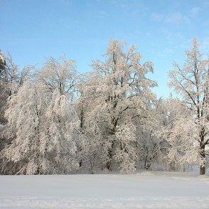 Gaiziņkalna ziemas ainava Gaiziņkalna ziemas ainava
