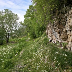 Dabas taka gar Doles salas dolomīta atsegumu un upes krastu Dabas taka gar Doles salas dolomīta atsegumu un upes krastu