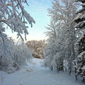 Gaiziņkalna ziemas ainava Gaiziņkalna ziemas ainava