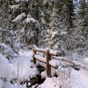 Tiltiņš pāri strautam ziemā mežā Tiltiņš pāri strautam ziemā mežā
