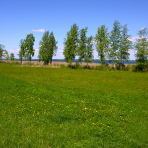 Ainava pie Rāznas ezera Ainava pie Rāznas ezera