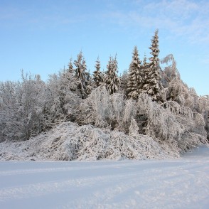 Gaiziņkalna ziemas ainava Gaiziņkalna ziemas ainava
