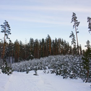 Ogres "Zilie kalni" Ogres "Zilie kalni"