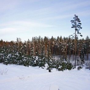 Ogres "Zilie kalni" Ogres "Zilie kalni"