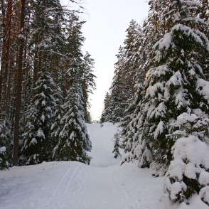 Ogres "Zilie kalni" Ogres "Zilie kalni"