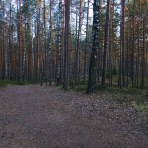 Ejot uz Lielo Ķemeru tīreli Ejot uz Lielo Ķemeru tīreli