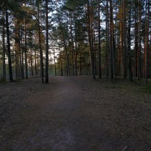 Ejot uz Lielo Ķemeru tīreli Ejot uz Lielo Ķemeru tīreli