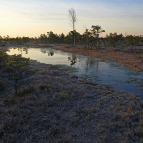 Lāmas Ķemeru tīrelī, pavasaris Lāmas Ķemeru tīrelī, pavasaris