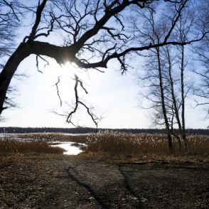 Skats uz Slokas ezeru Skats uz Slokas ezeru