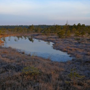 Lāma Ķemeru tīrelī, pavasaris Lāma Ķemeru tīrelī, pavasaris