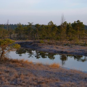 Lielā Ķemeru tīreļa pavasara ainava, rīts Lielā Ķemeru tīreļa pavasara ainava, rīts