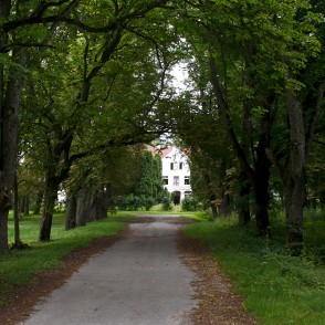 Zūru muižas aleja Zūru muižas aleja