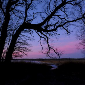 Skats uz Slokas ezeru rītausmā Skats uz Slokas ezeru rītausmā