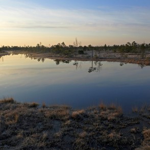 Lāma Ķemeru tīrelī, pavasara rīts Lāma Ķemeru tīrelī, pavasara rīts