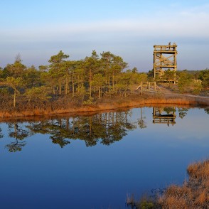 Skatu tornis Lielajā Ķemeru tīrelī Skatu tornis Lielajā Ķemeru tīrelī