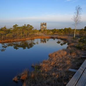Lielā Ķemeru tīreļa pavasara ainava, skatu tornis Lielā Ķemeru tīreļa pavasara ainava, skatu tornis