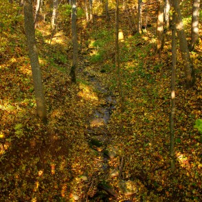 Dabas parks Pilskalnes “Siguldiņa” rudenī Dabas parks Pilskalnes “Siguldiņa” rudenī