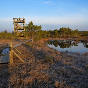 Skatu tornis Lielajā Ķemeru tīrelī Skatu tornis Lielajā Ķemeru tīrelī