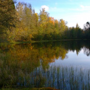 Dabas parks Pilskalnes “Siguldiņa” rudenī Dabas parks Pilskalnes “Siguldiņa” rudenī