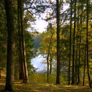 Dabas parks Pilskalnes “Siguldiņa” rudenī Dabas parks Pilskalnes “Siguldiņa” rudenī