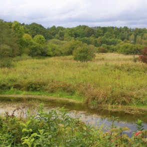 Abavas palieņu pļavas Abavas palieņu pļavas