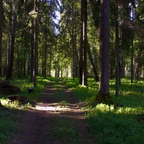 Ugāles pilskalns Ugāles pilskalns