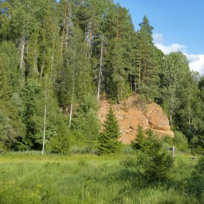 Miglas iezis (Pļavas iezis) Miglas iezis (Pļavas iezis)