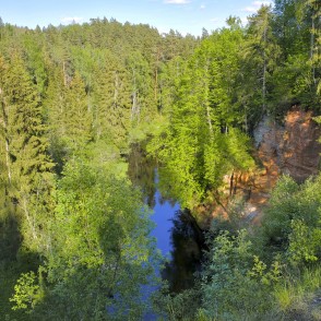 Slūnu ieža fragments skatā no augšas Slūnu ieža fragments skatā no augšas