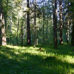 Ugāles pilskalns Ugāles pilskalns