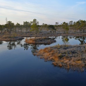Lāma Ķemeru tīrelī, pavasara rīts Lāma Ķemeru tīrelī, pavasara rīts