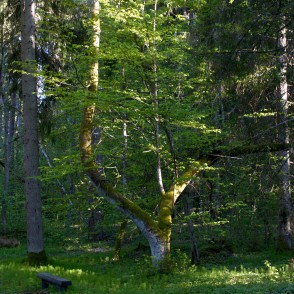 Ugāles pilskalns Ugāles pilskalns