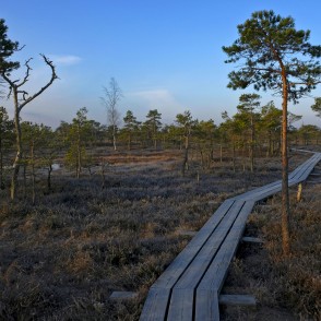 Lielais Ķemeru tīrelis pavasarī Lielais Ķemeru tīrelis pavasarī