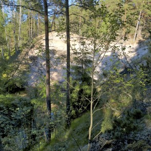 Pūrciema Baltās kāpas dabas taka Pūrciema Baltās kāpas dabas taka