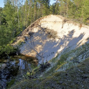 Pūrciema Baltās kāpas dabas taka Pūrciema Baltās kāpas dabas taka