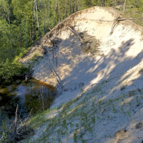 Pūrciema Baltās kāpas dabas taka Pūrciema Baltās kāpas dabas taka