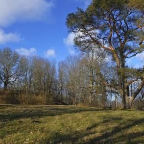 Skats uz Buses pilskalnu Skats uz Buses pilskalnu