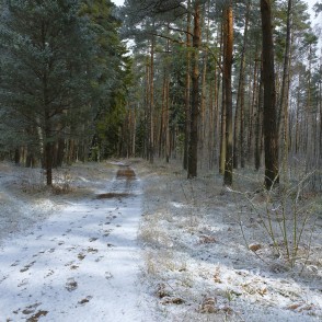 Ejot apkārt Būšnieku ezeram Ejot apkārt Būšnieku ezeram