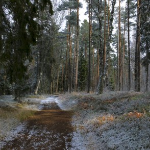 Ejot apkārt Būšnieku ezeram Ejot apkārt Būšnieku ezeram