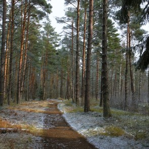 Ejot apkārt Būšnieku ezeram Ejot apkārt Būšnieku ezeram
