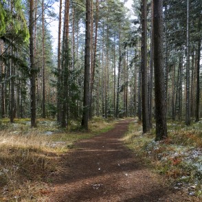 Ejot apkārt Būšnieku ezeram Ejot apkārt Būšnieku ezeram