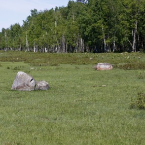 Dabas parka "Engures ezers" ainava Dabas parka "Engures ezers" ainava