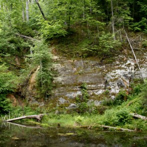 Cīrulīšu klintis Cīrulīšu klintis